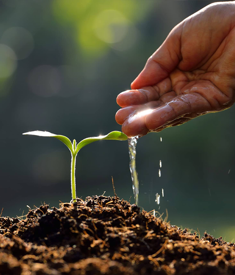 Consciência Ambiental